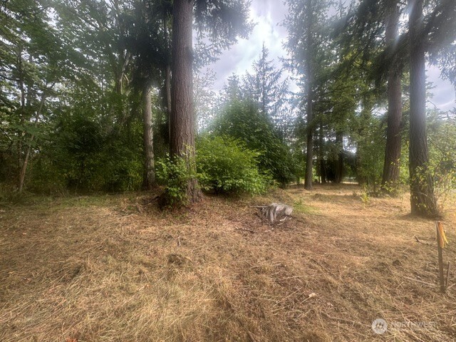 36852 52nd Avenue C-n Property Photo 5