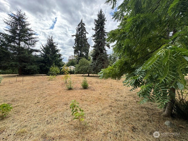 36852 52nd Avenue C-n Property Photo 9