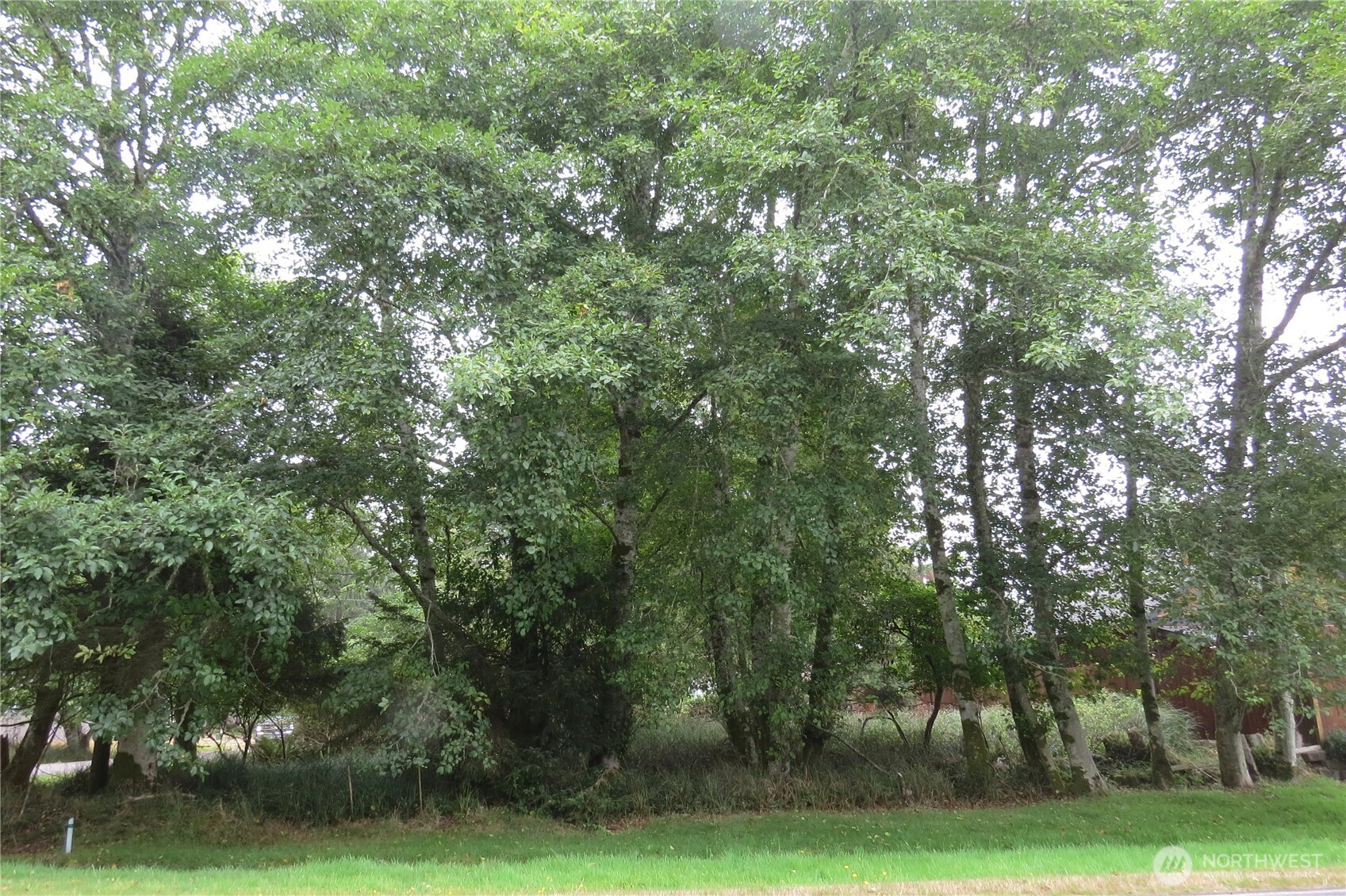796 Mount Olympus Avenue Property Photo 1