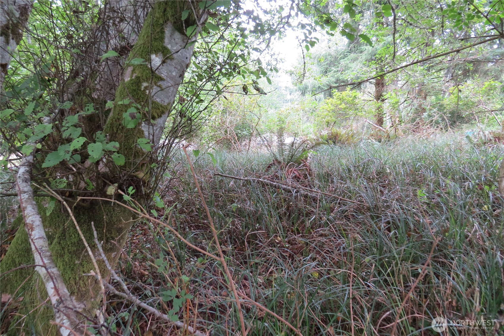 796 Mount Olympus Avenue Property Photo 3