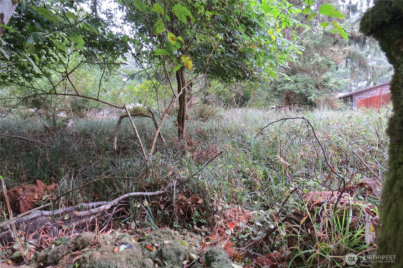 796 Mount Olympus Avenue Property Photo 4