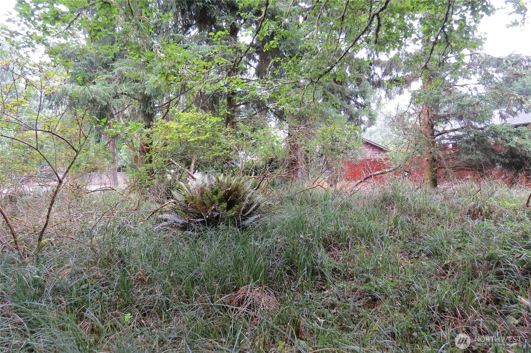796 Mount Olympus Avenue Property Photo 5