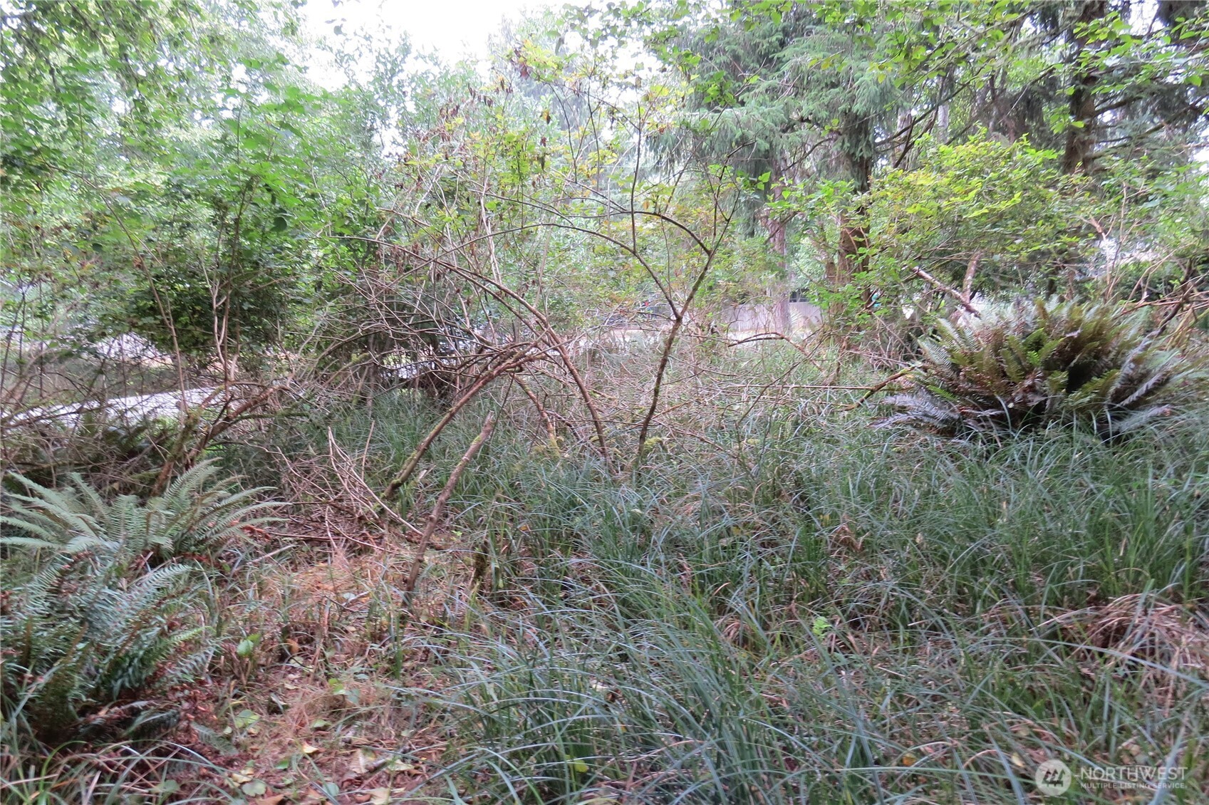 796 Mount Olympus Avenue Property Photo 6