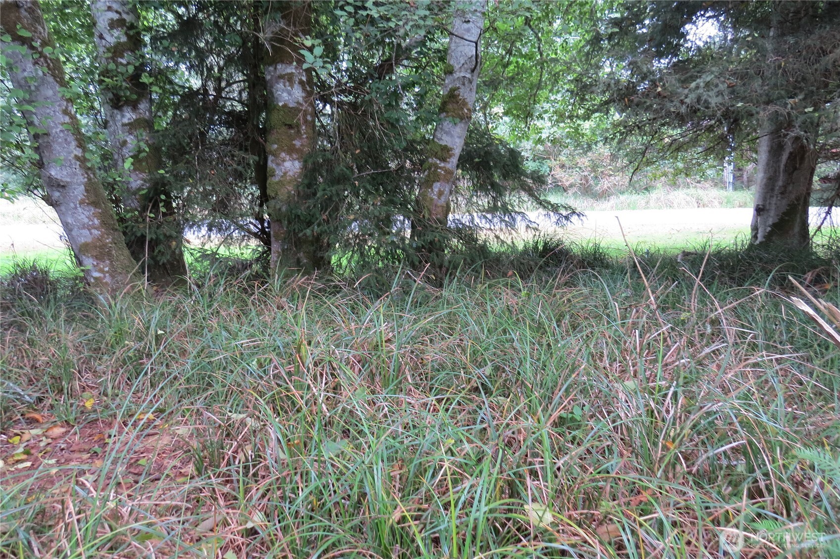 796 Mount Olympus Avenue Property Photo 7