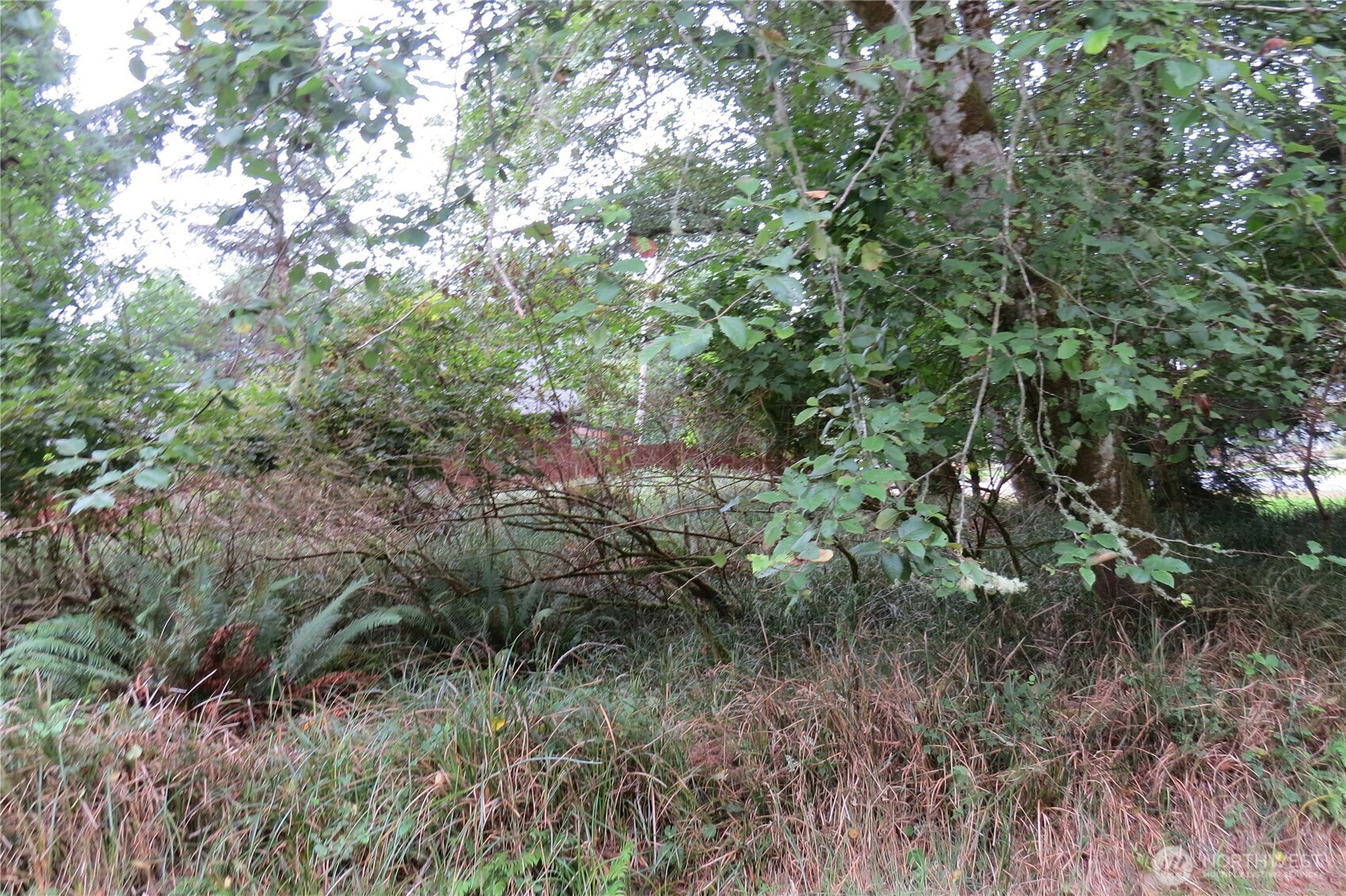 796 Mount Olympus Avenue Property Photo 9