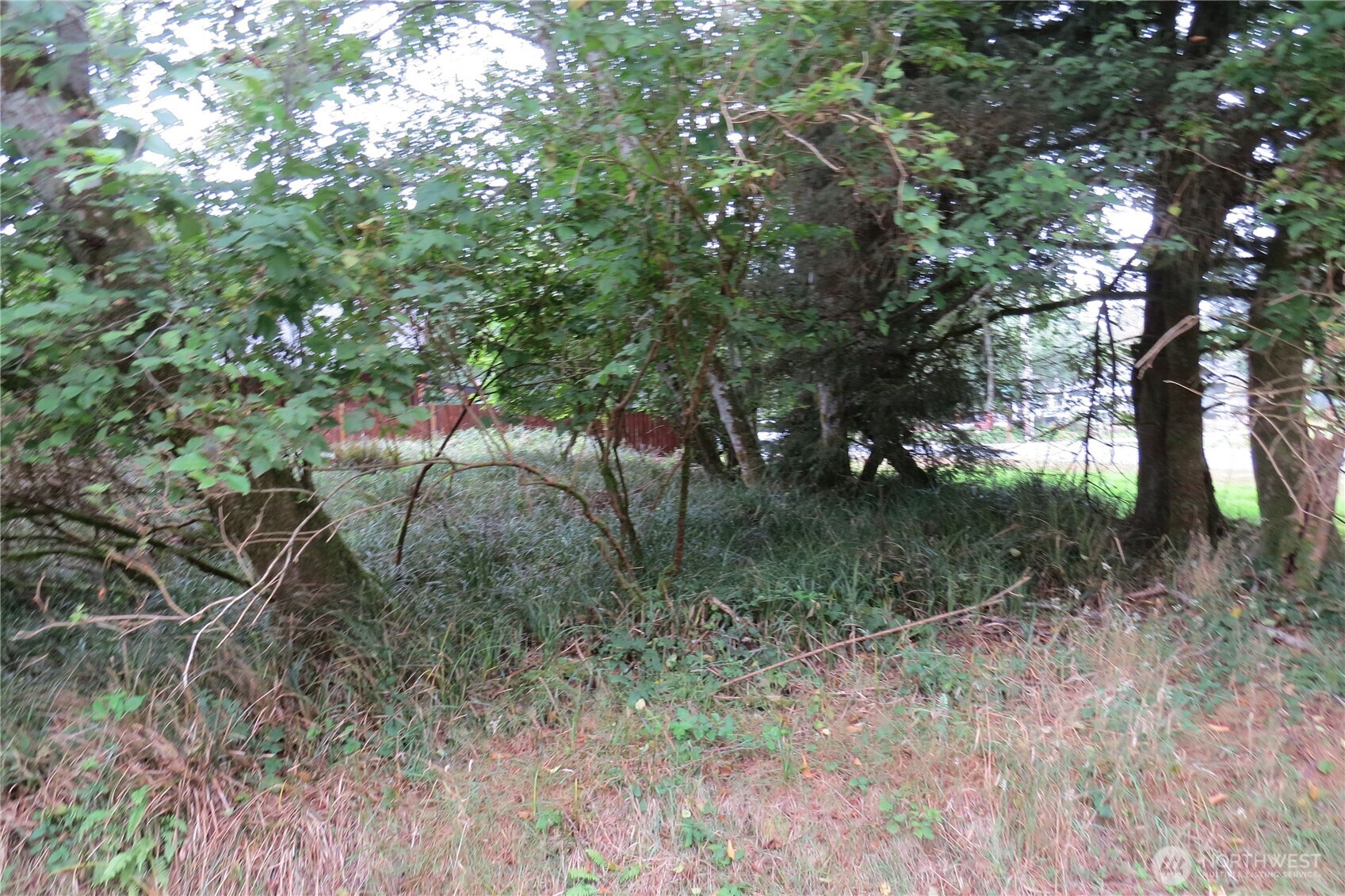 796 Mount Olympus Avenue Property Photo 10