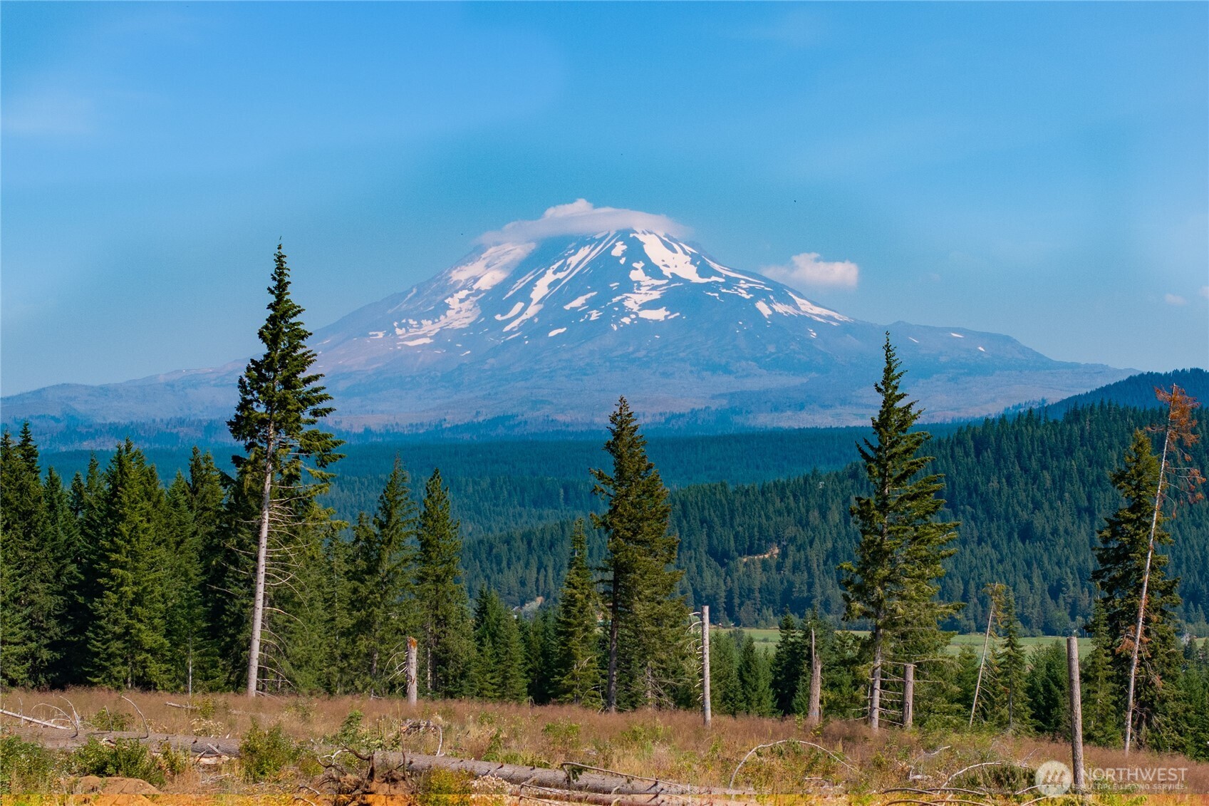 0 Little Mountain Road Property Photo 3
