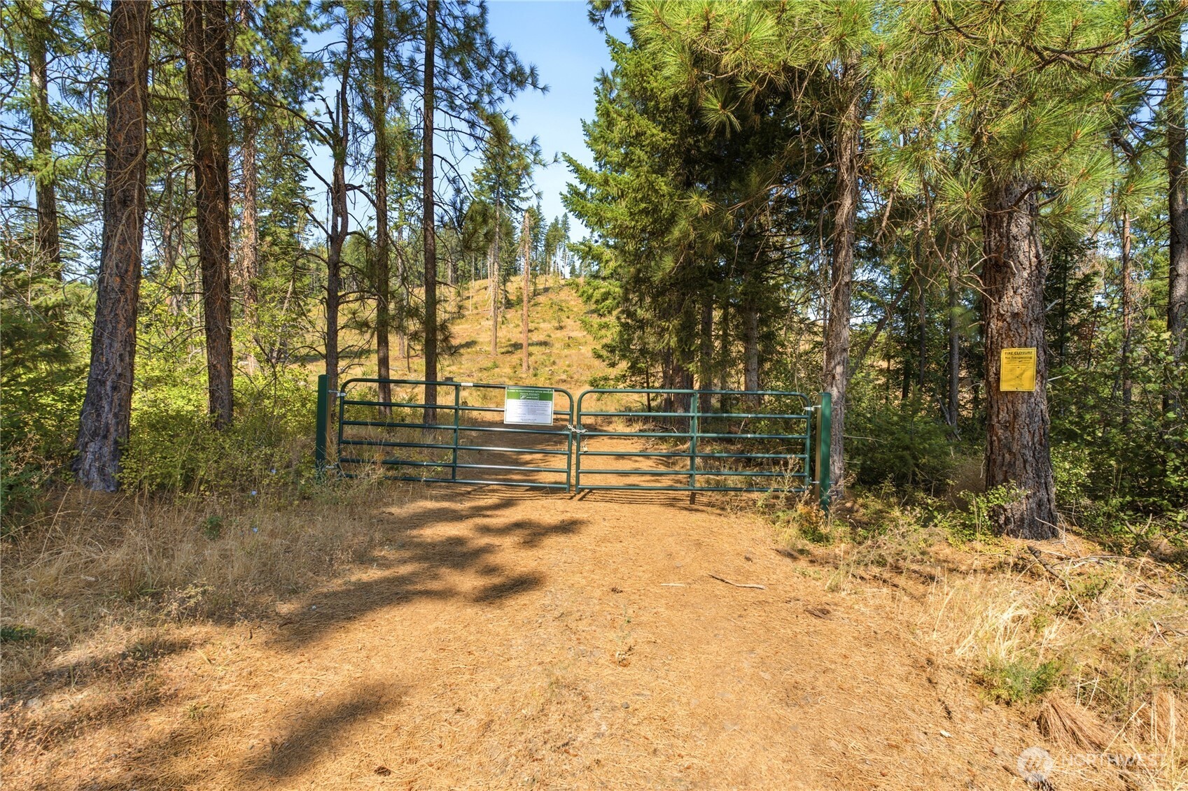 0 Little Mountain Road Property Photo 6