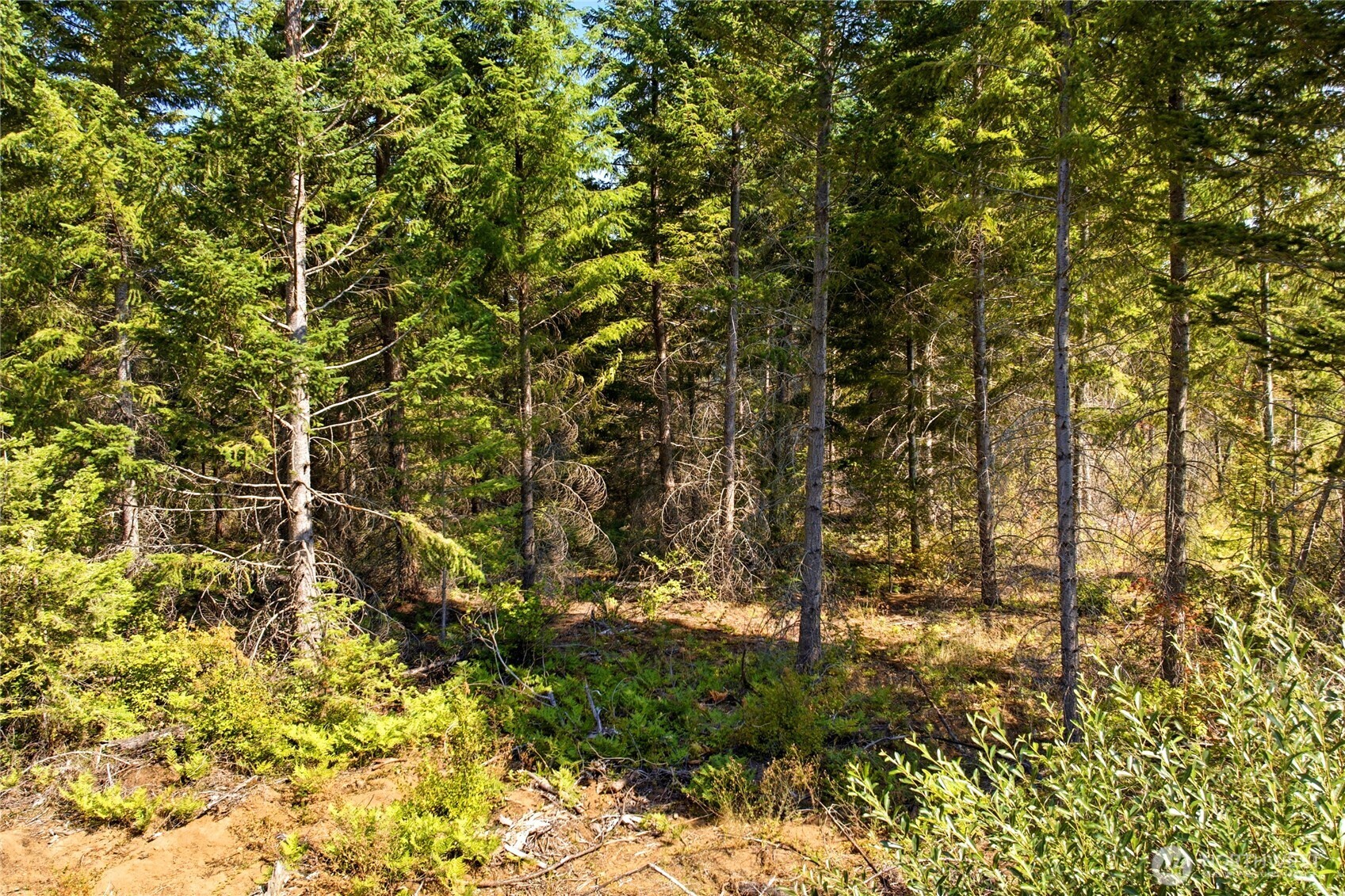 0 Little Mountain Road Property Photo 8