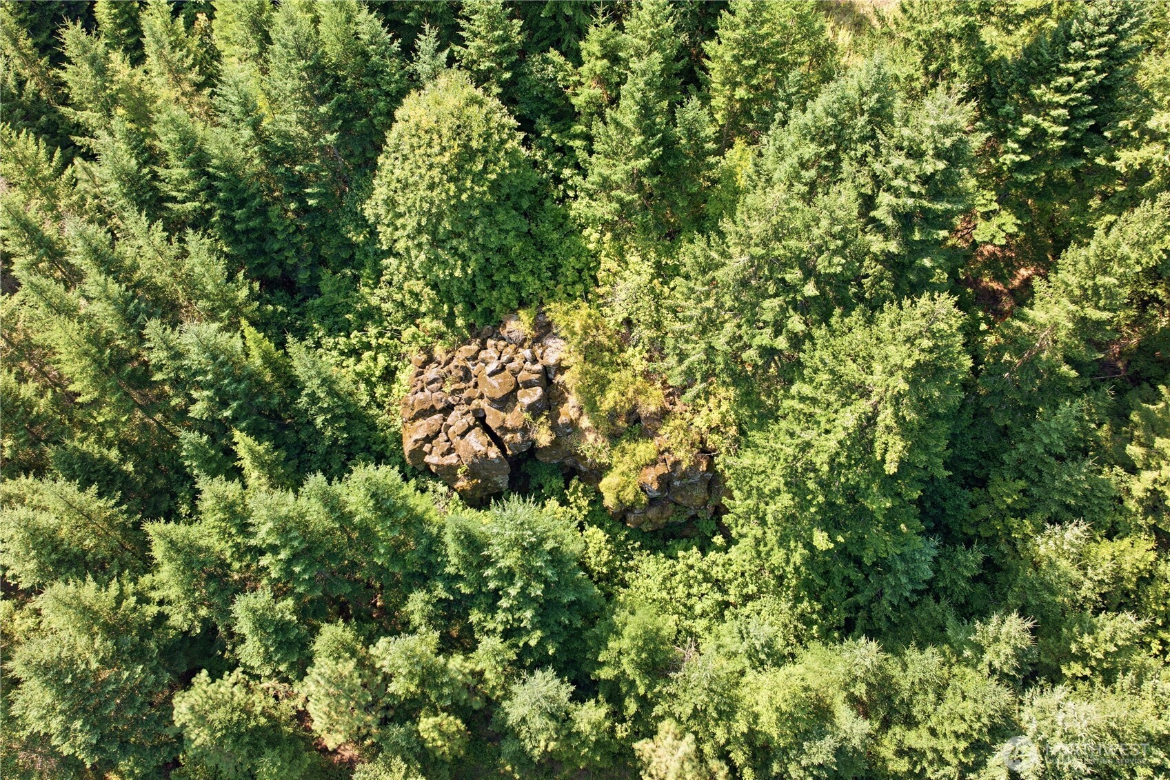0 Little Mountain Road Property Photo 16