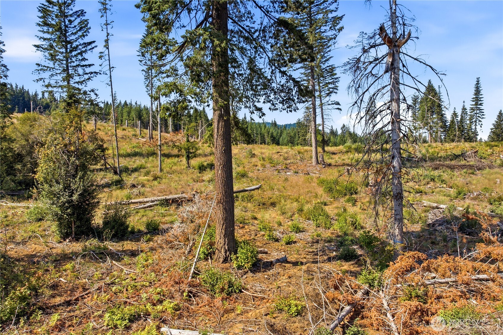 0 Little Mountain Road Property Photo 17