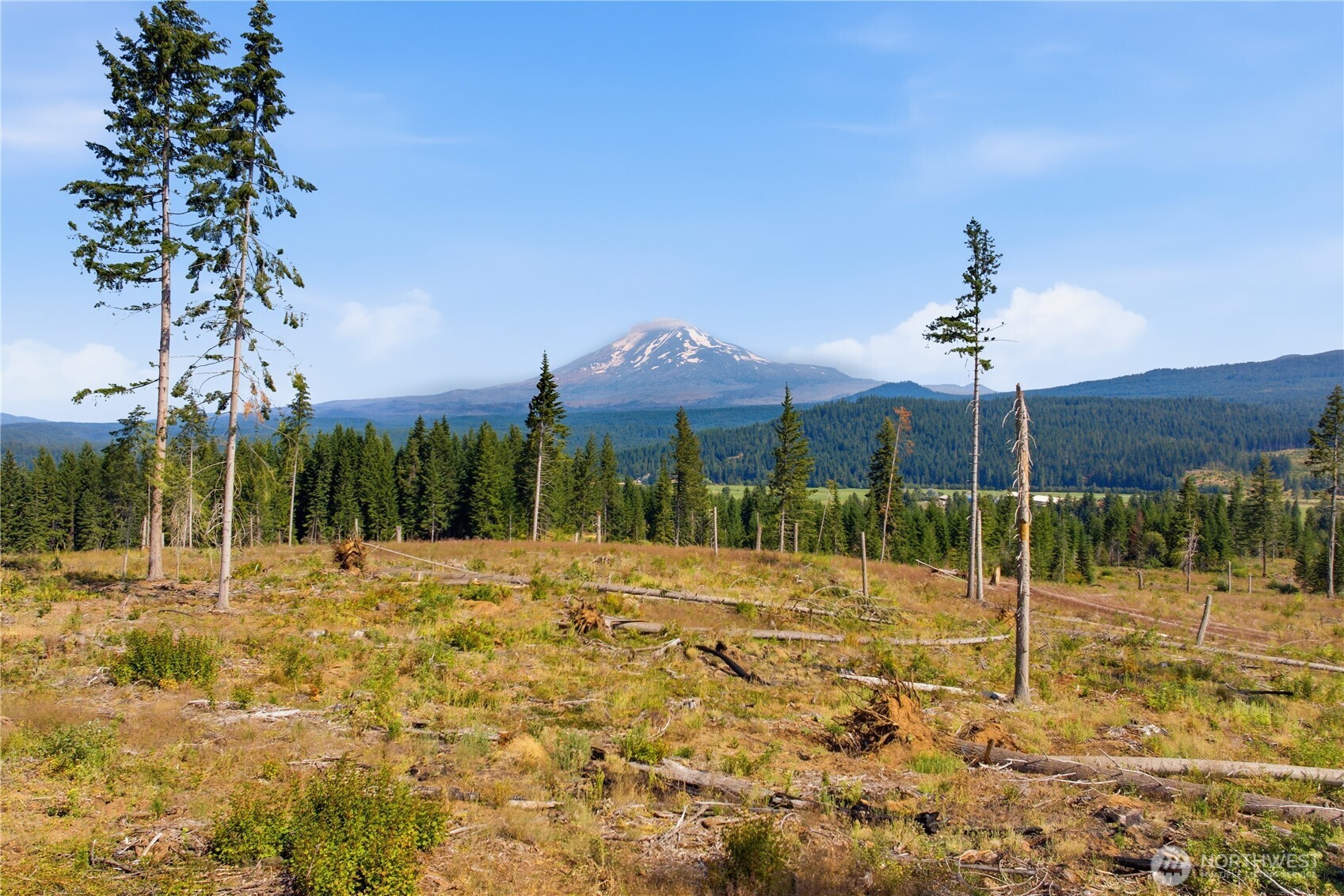 0 Little Mountain Road Property Photo 18