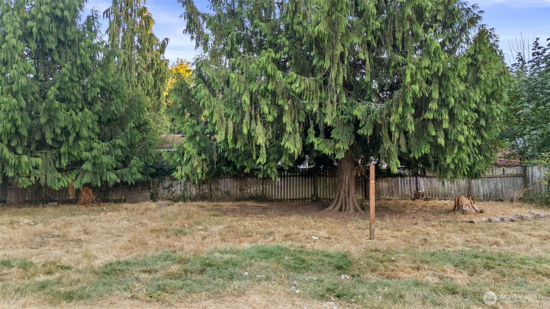 2515 15th Avenue Property Photo 34