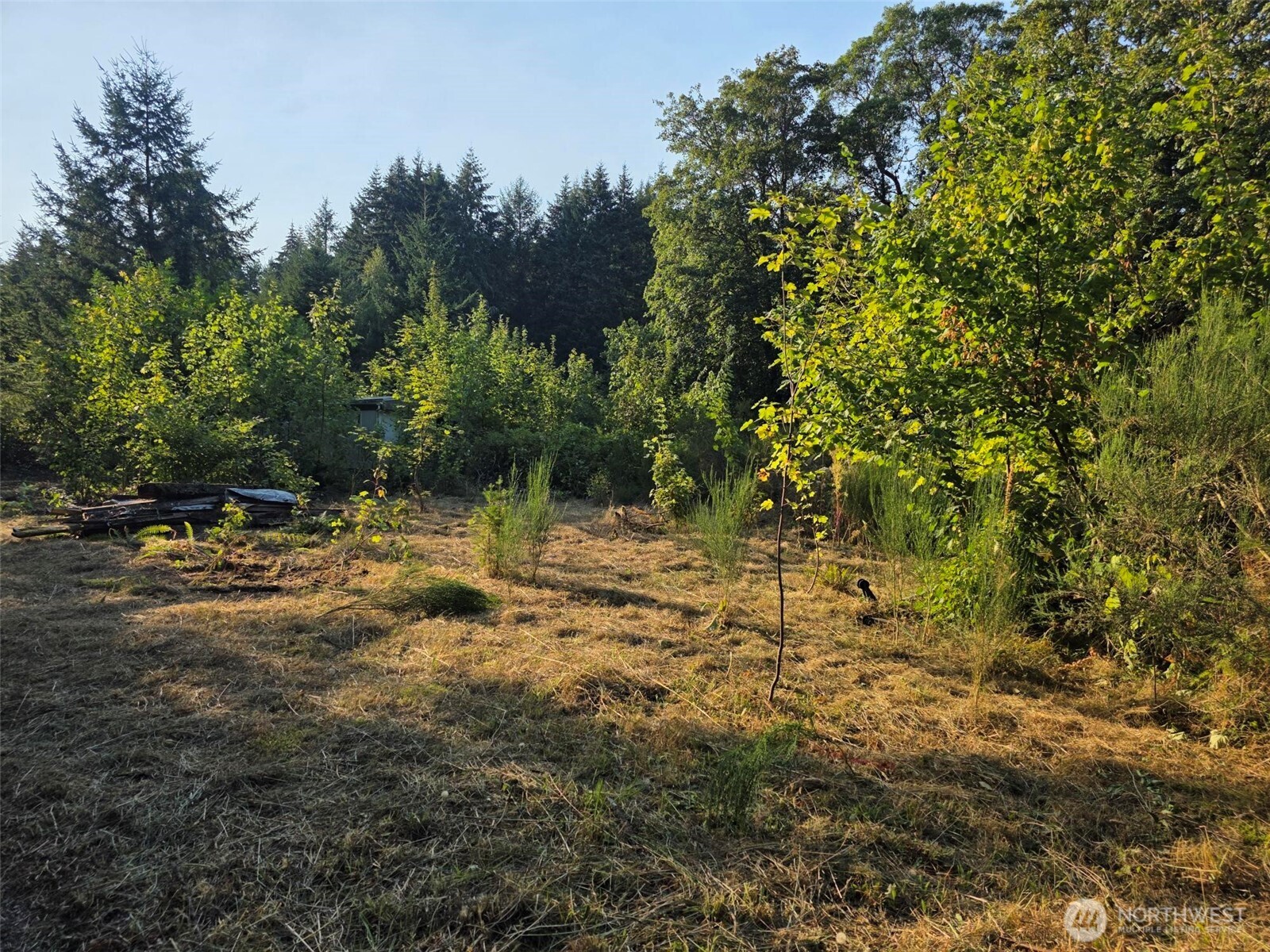 27313 Vashon Highway Sw Property Photo 1