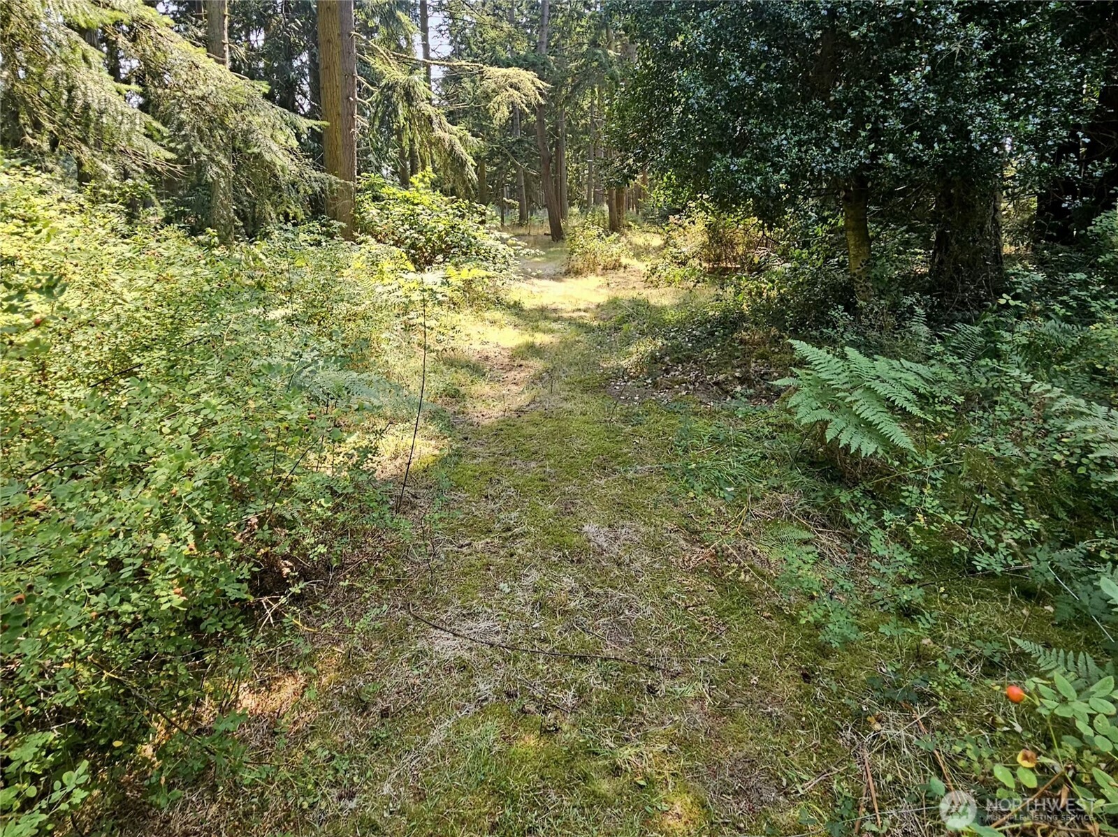 4063 Lambourn Lane Property Photo 4
