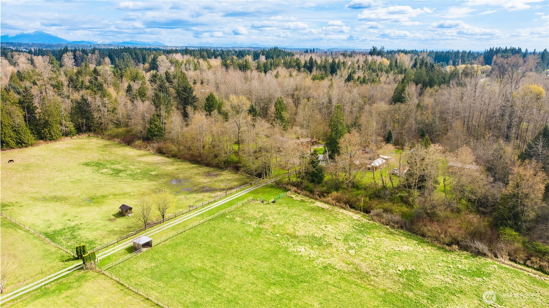 19529 17th Drive Property Photo 2