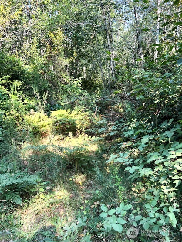 1209 196th Avenue Property Photo 2