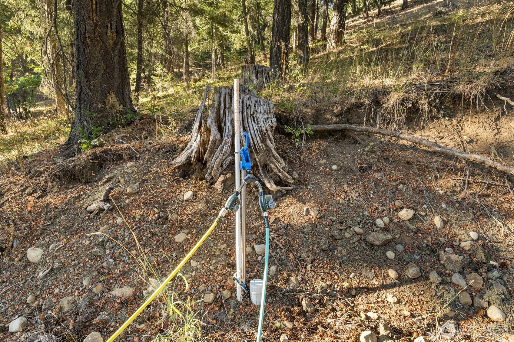 91 Lava Lane Property Photo 3