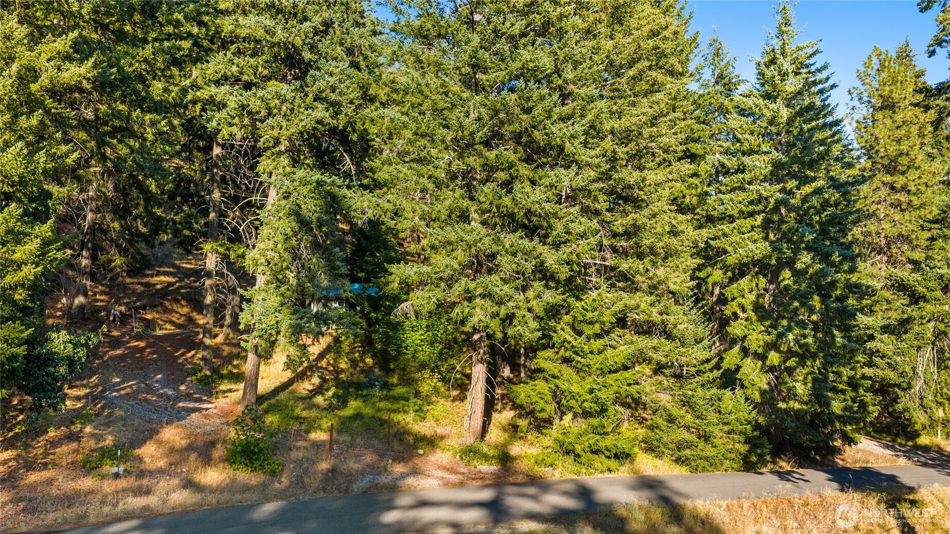 91 Lava Lane Property Photo 12
