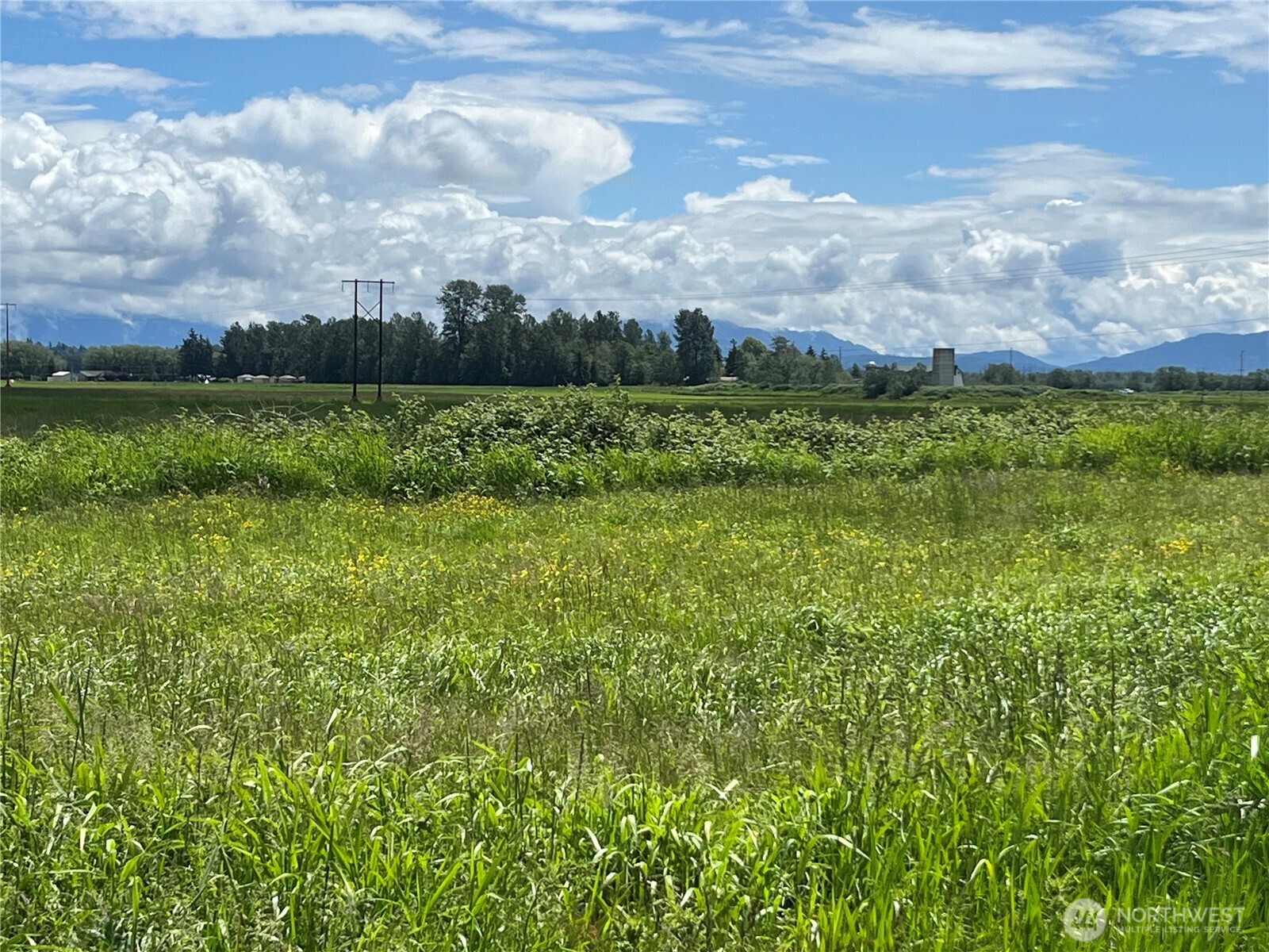 2573180 Property Photo 8