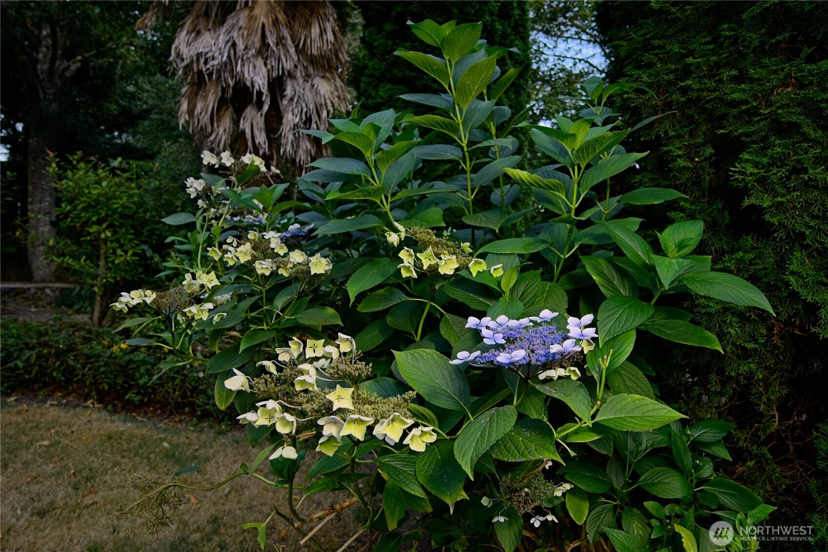 15449 Virginia Point Road Property Photo 36