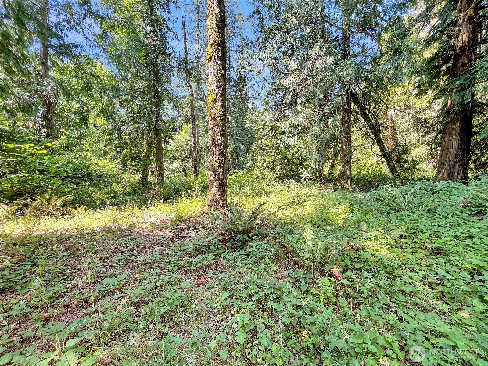 0 On Rush Road Property Photo 7