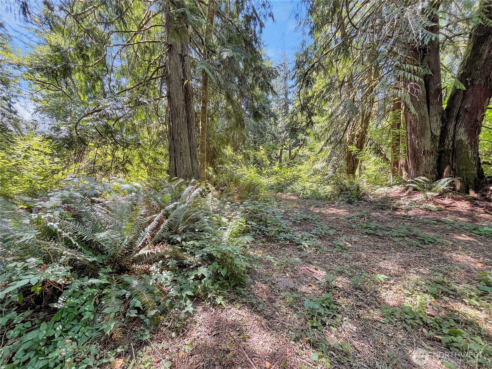 0 On Rush Road Property Photo 8