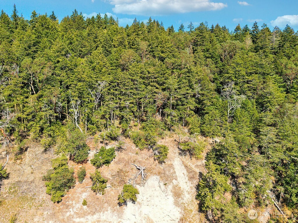 6982 Cape George Rd Property Photo 6