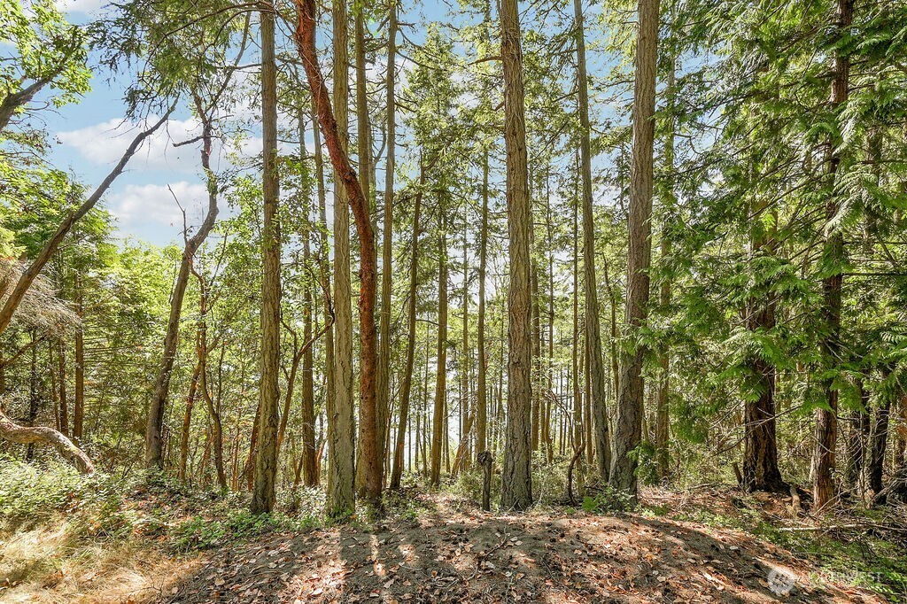 6982 Cape George Rd Property Photo 14