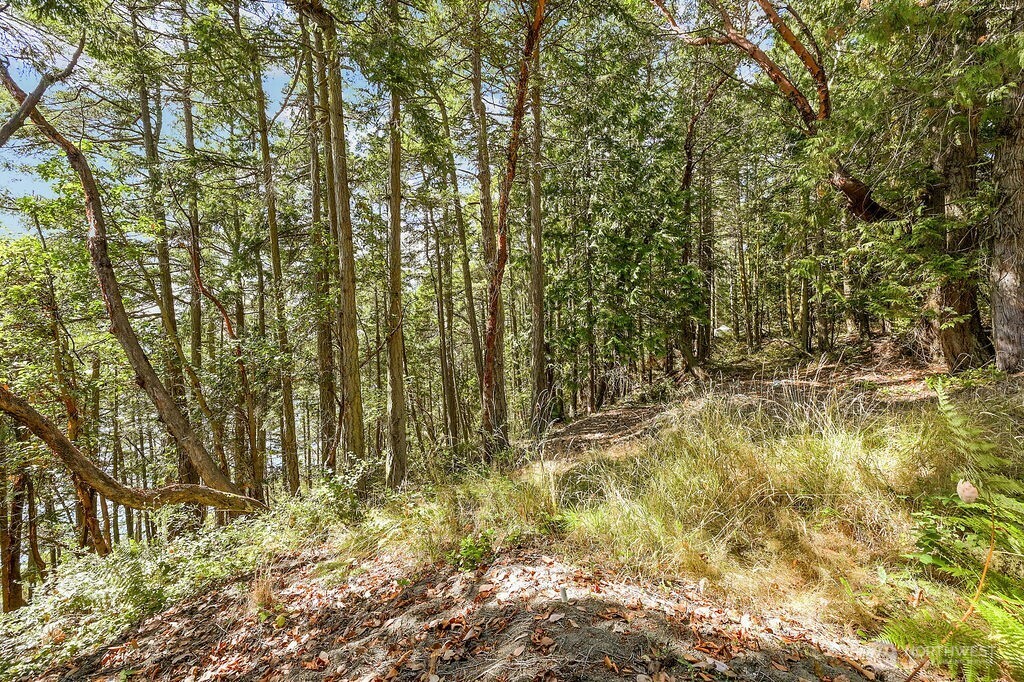 6982 Cape George Rd Property Photo 16