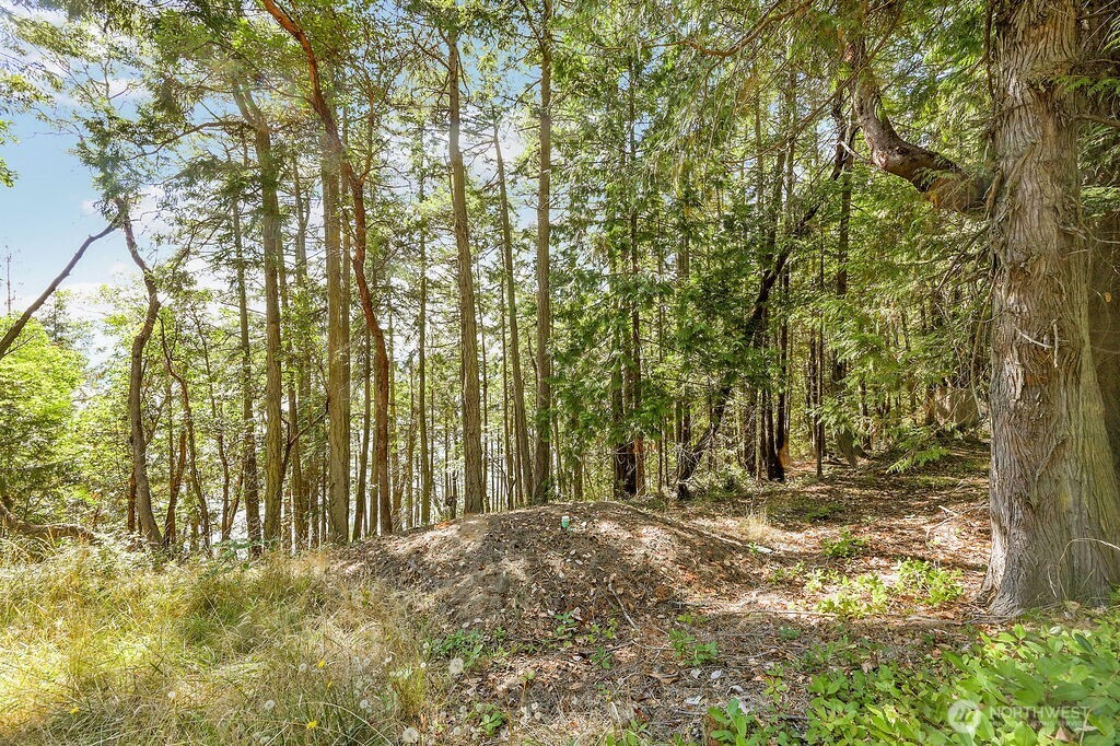 6982 Cape George Rd Property Photo 19