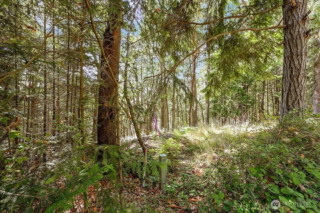 6982 Cape George Rd Property Photo 20