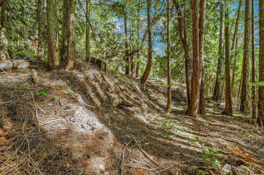 6982 Cape George Rd Property Photo 23