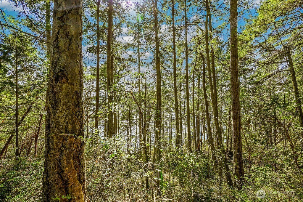 6982 Cape George Rd Property Photo 24