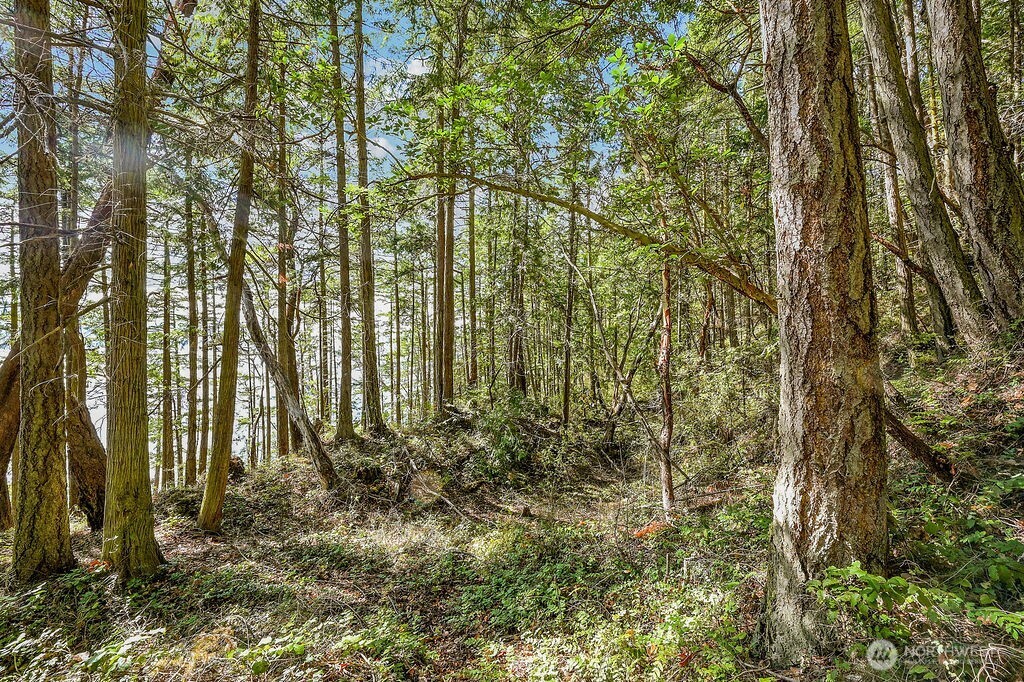 6982 Cape George Rd Property Photo 26
