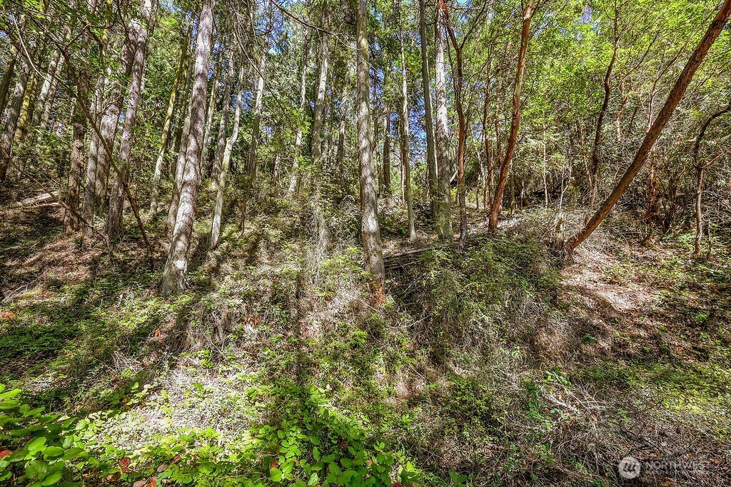 6982 Cape George Rd Property Photo 28