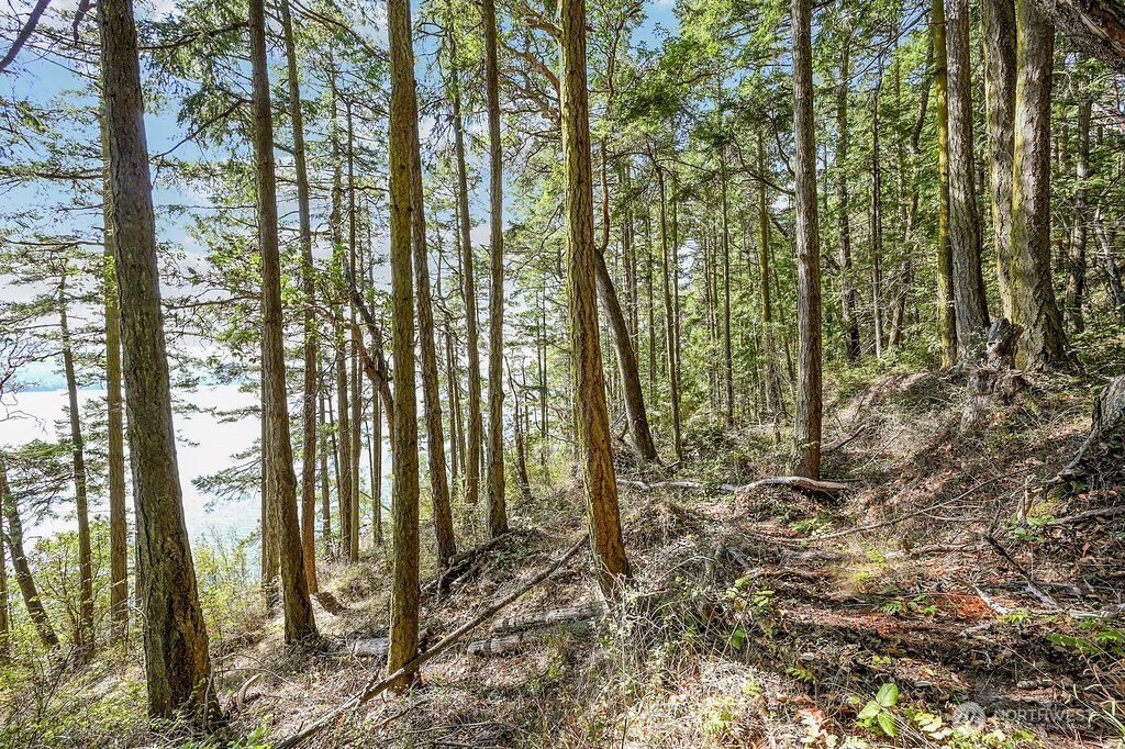 6982 Cape George Rd Property Photo 29