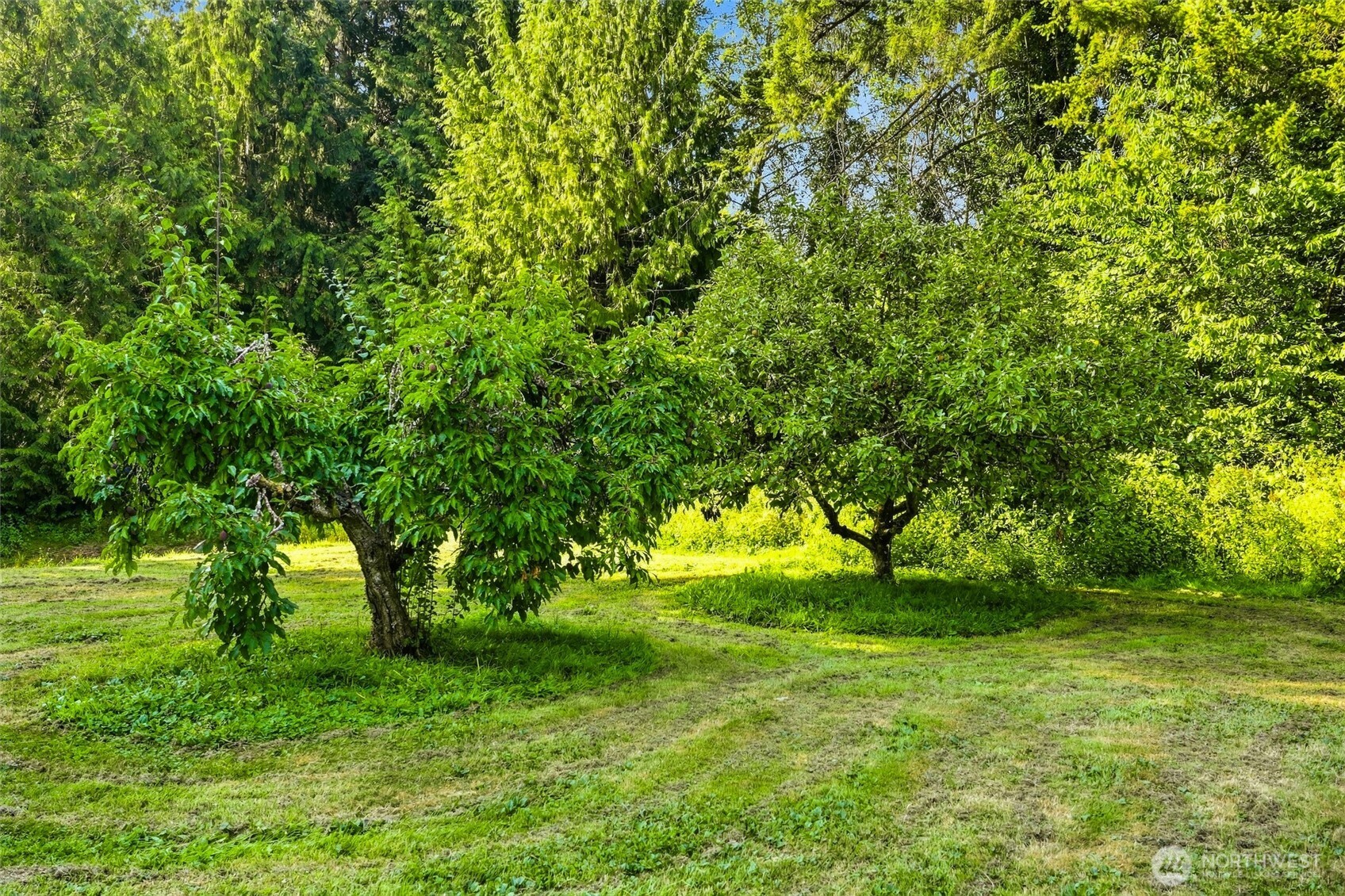 12731 25th Avenue Property Photo 31