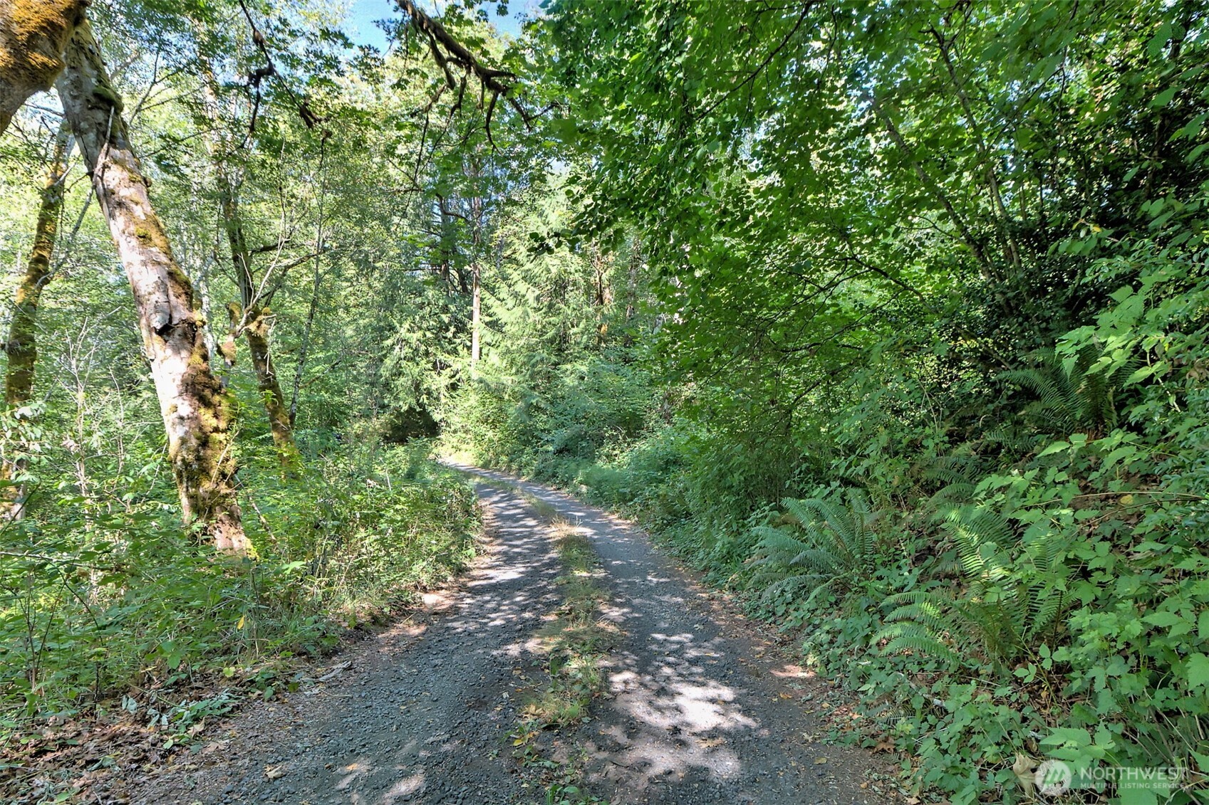 1250 E Crestview Drive Property Photo 12