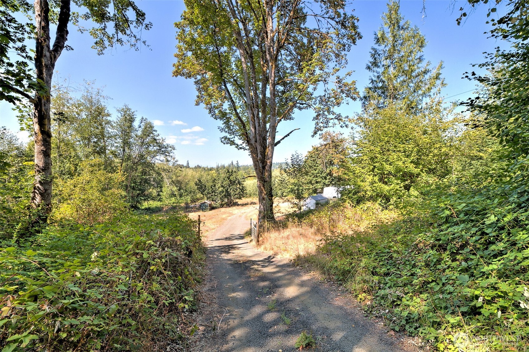 1250 E Crestview Drive Property Photo 15