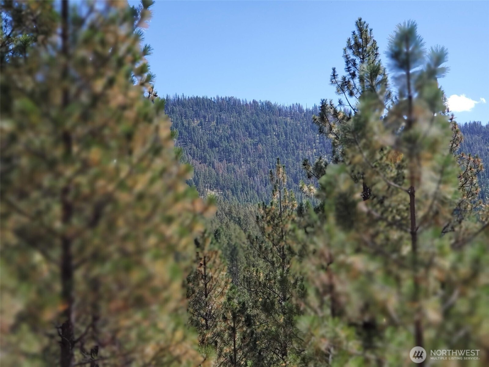 0 Long Horn Trail Property Photo 1