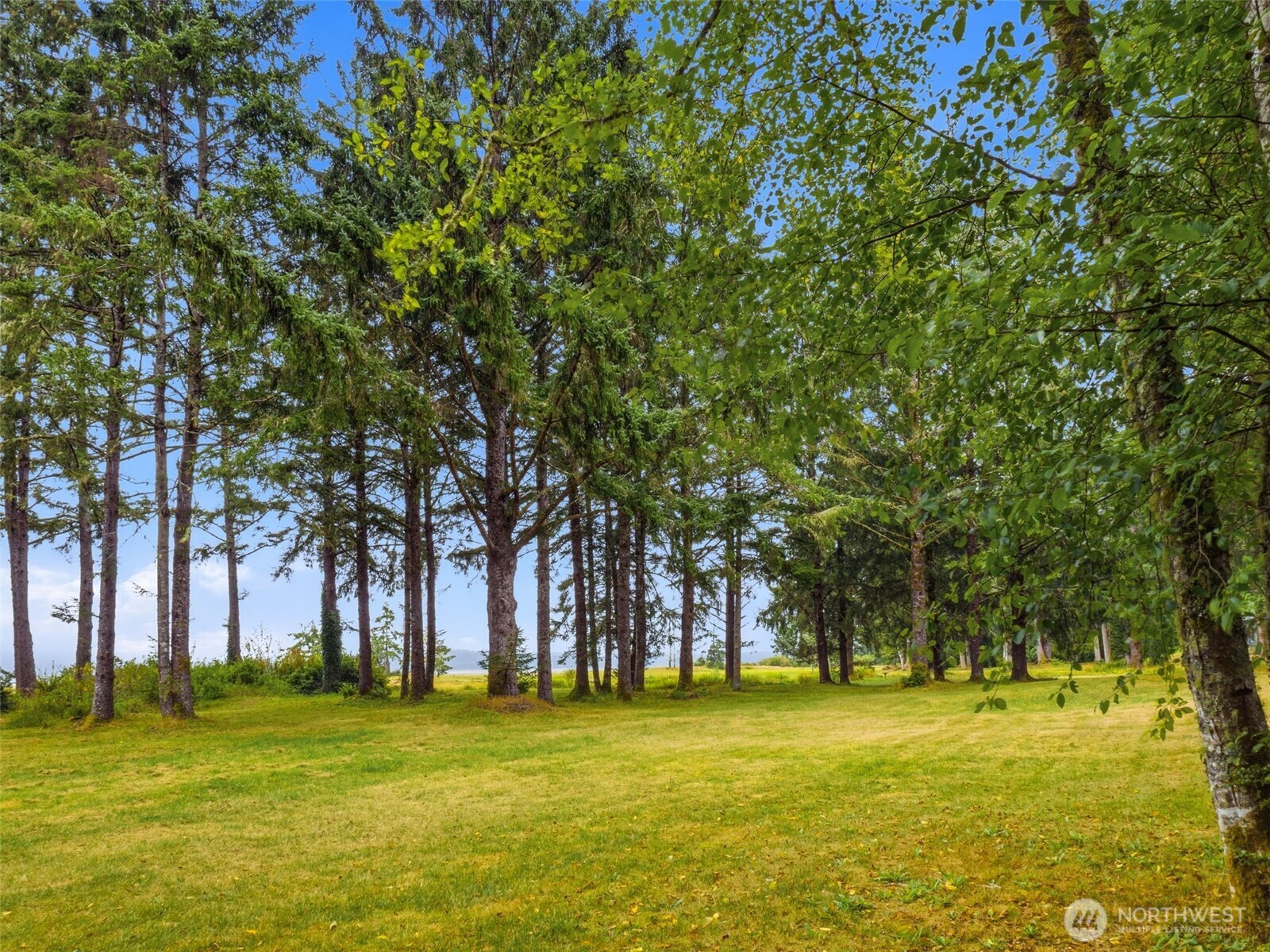13706 Teal Lane Property Photo 34