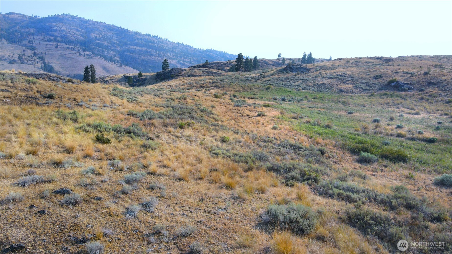 0 Xx Mclaughlin Canyon Road Property Photo 10