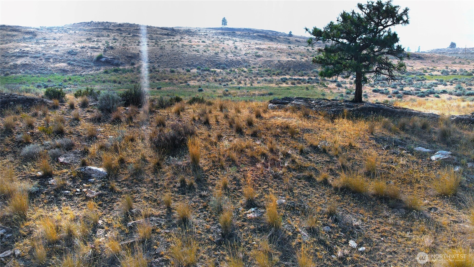 0 Xx Mclaughlin Canyon Road Property Photo 13