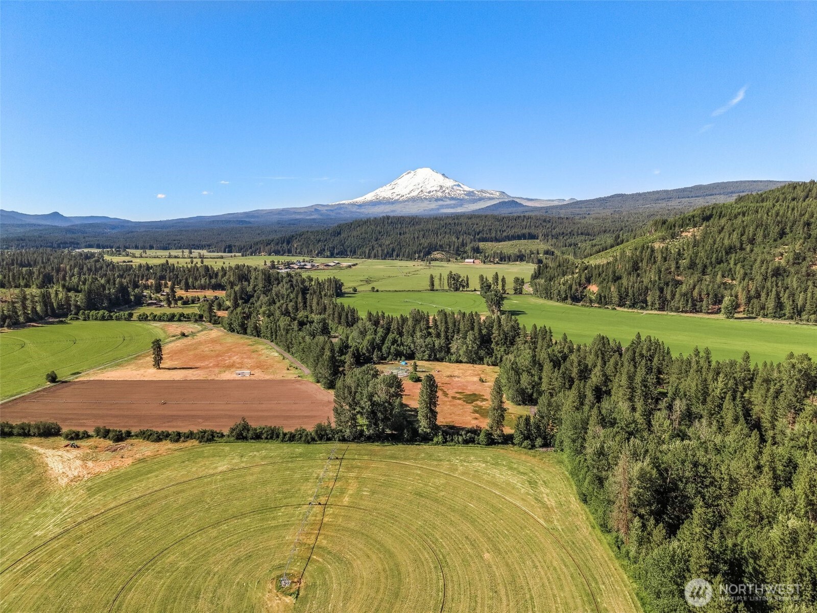 64 Good Road Property Photo 19