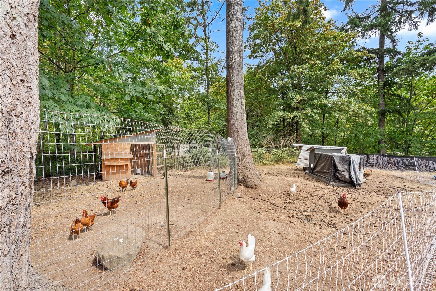 444 143rd Avenue Property Photo 25
