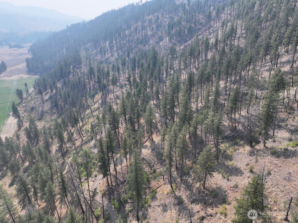 0 Gold Creek Loop Road Property Photo 1