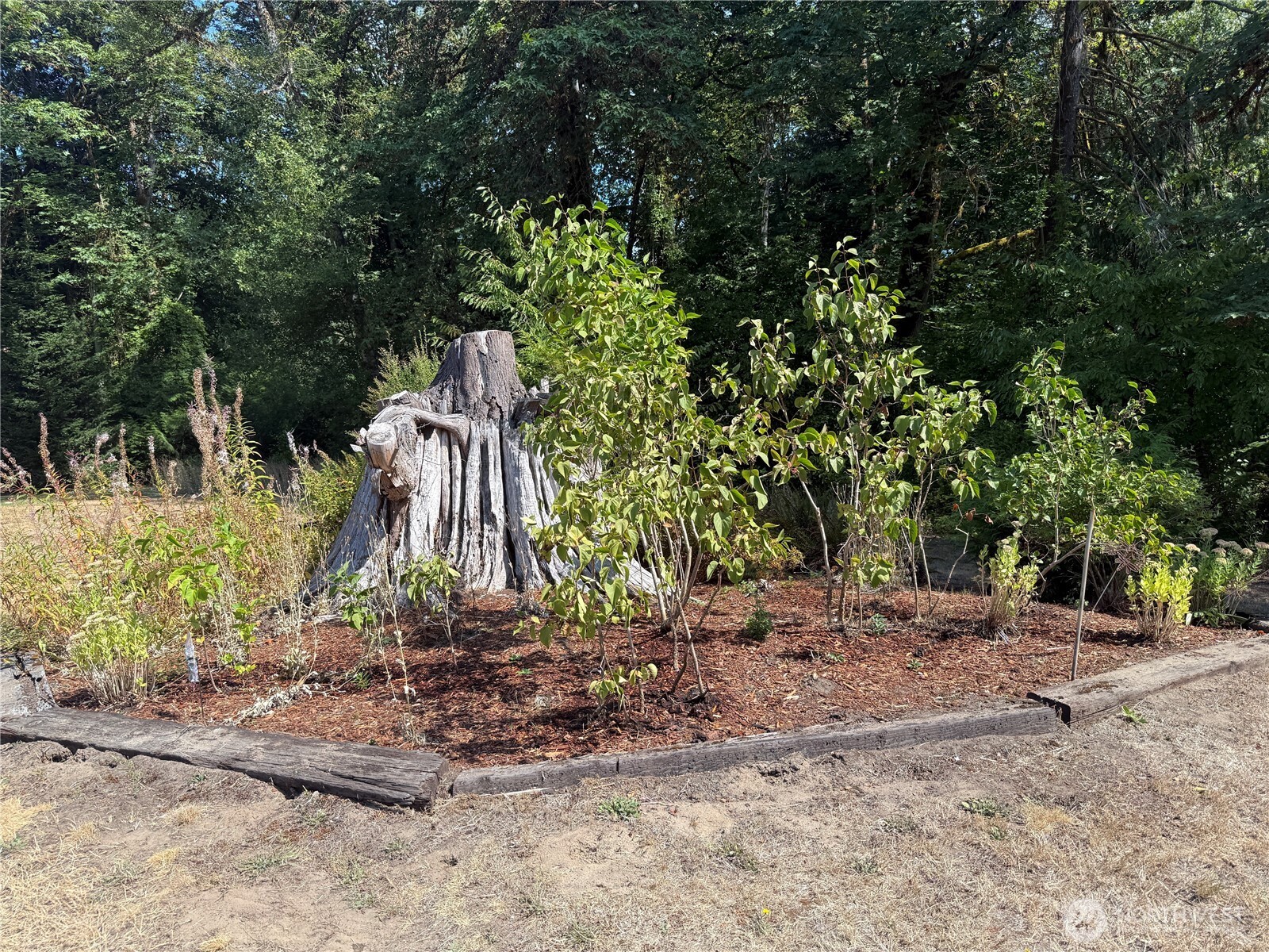 82 Ne Miller Road Property Photo 4