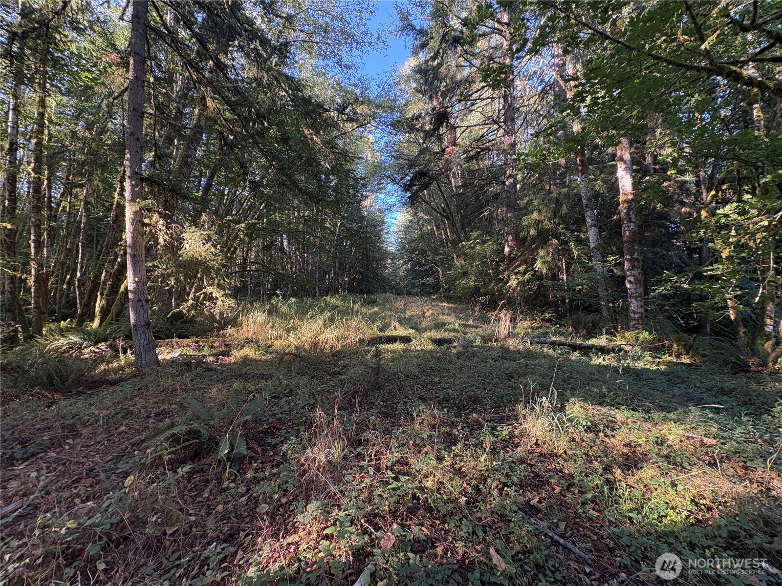 1 Nka Frank Smith Road Property Photo 11