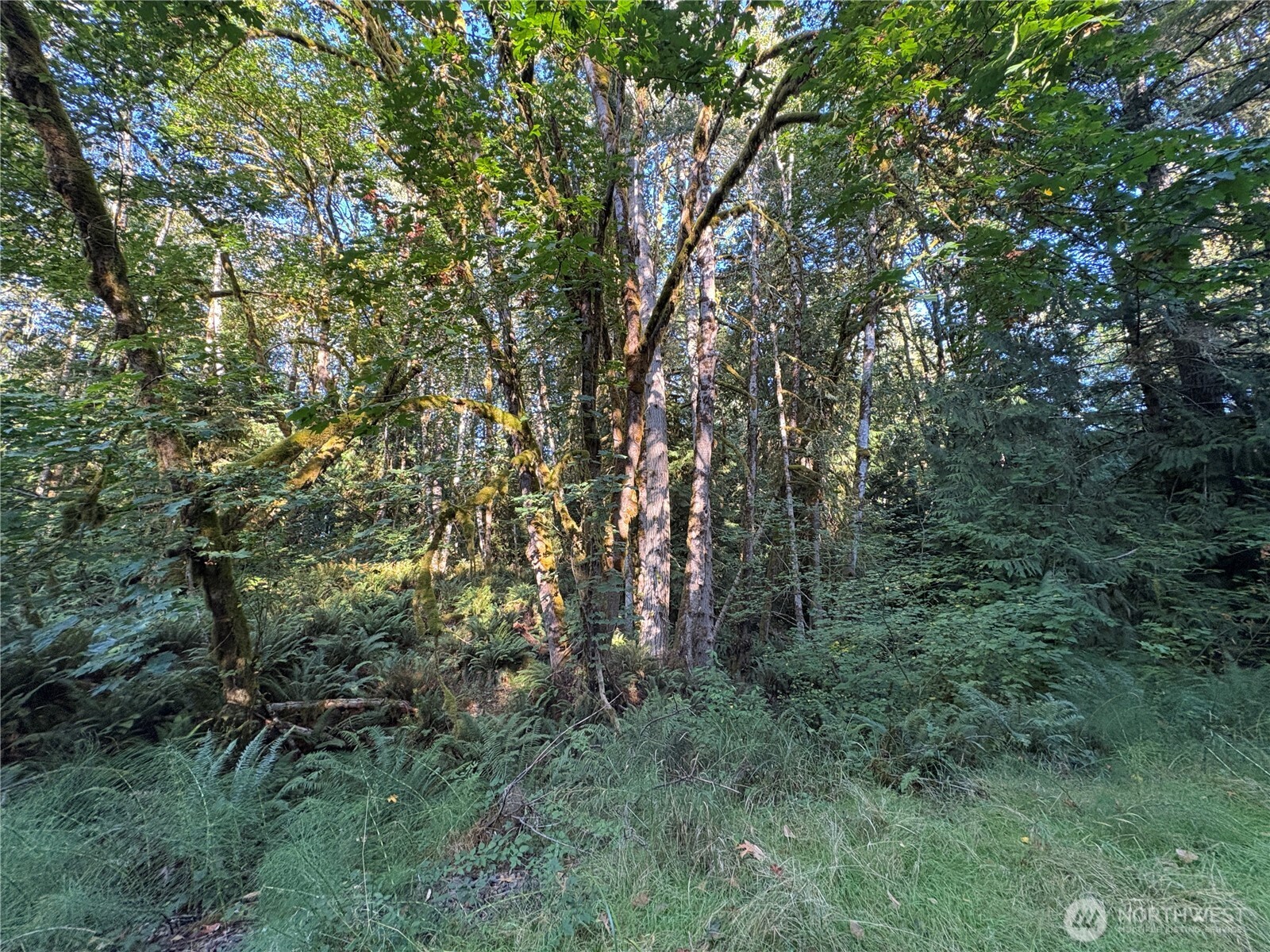 1 Nka Frank Smith Road Property Photo 15